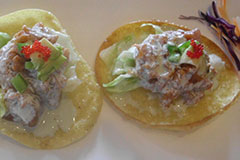 Sumo Nacho